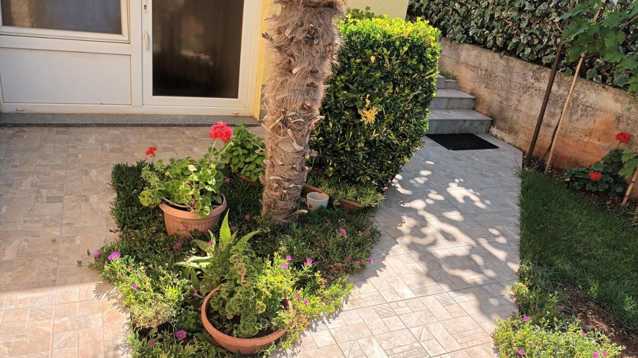 Apartments Monte Magno Pula Exterior photo