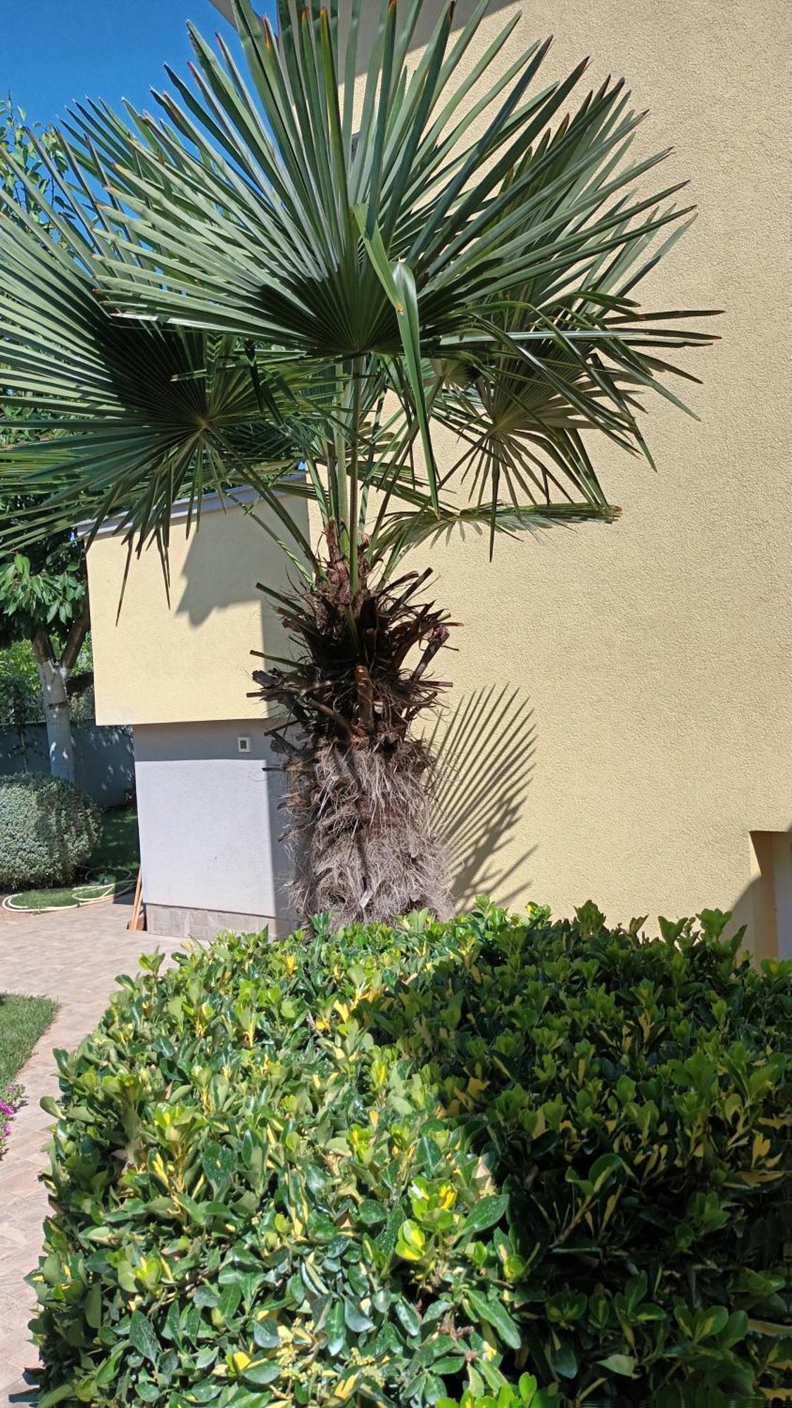 Apartments Monte Magno Pula Exterior photo