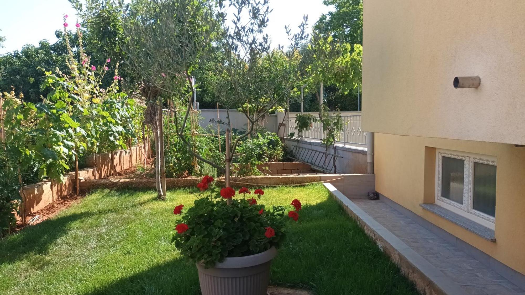 Apartments Monte Magno Pula Exterior photo
